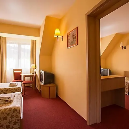 Ski Hotel 호텔 3*