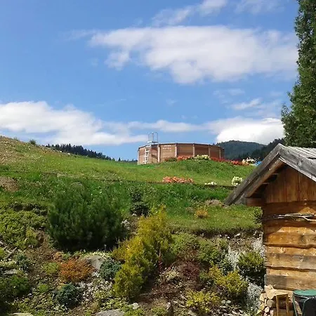 Ski Hotel 호텔