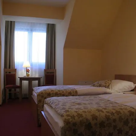 Ski Hotel 호텔 3*