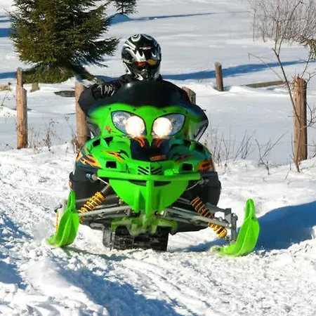 Ski Hotel 호텔