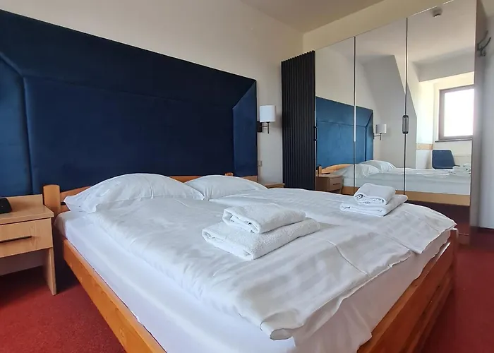 Ski Hotel ホテル 3*