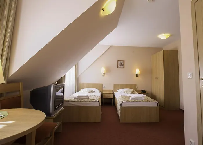 Ski Hotel ホテル Piwniczna-Zdroj